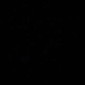 Meet your Posher, Destiny